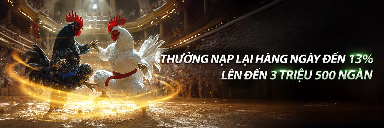 Trải nghiệm sòng bạc trực tuyến đẳng cấp tại King52 nhà cái