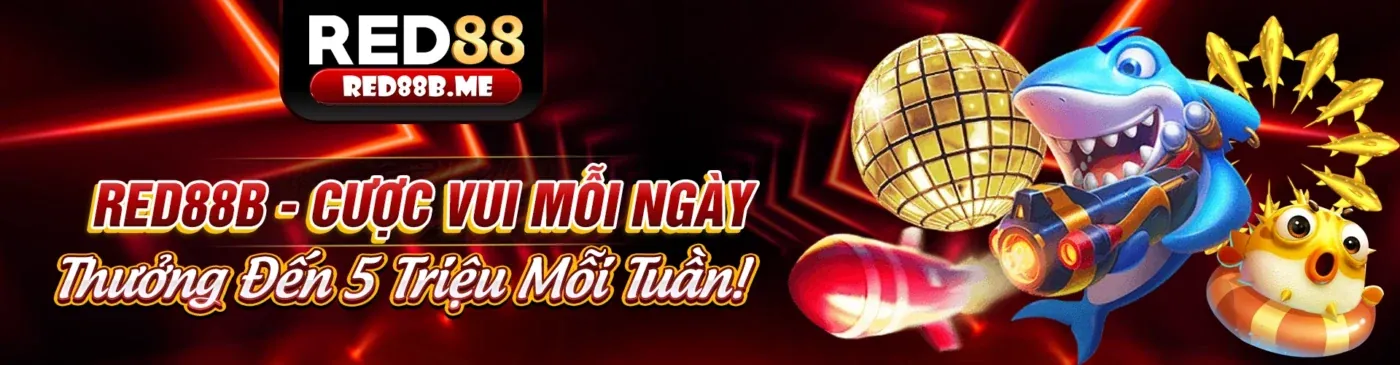 King52 nhà cái - Giao diện đăng ký hiện đại và hấp dẫn
