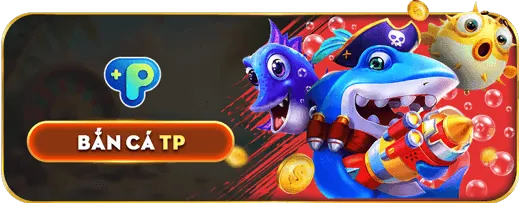 Cá cược bóng đá king52 nhà cái